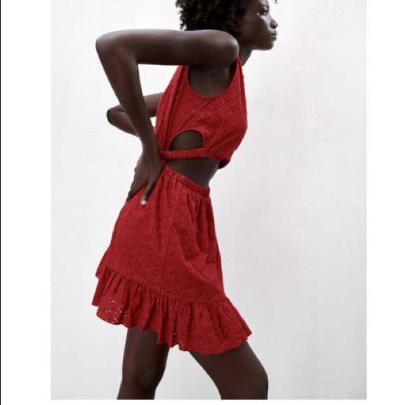 Zara Openwork Embroidered Mini Dress - Picture 3 of 6